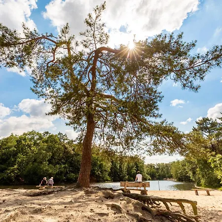 Spacious Loft With Balcony & High-speed Wi-fi