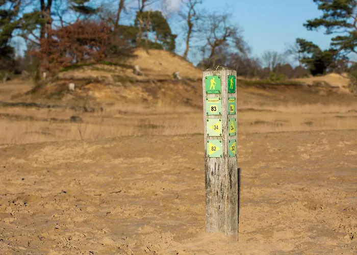 Spacious Loft With Balcony & High-speed Wi-fi