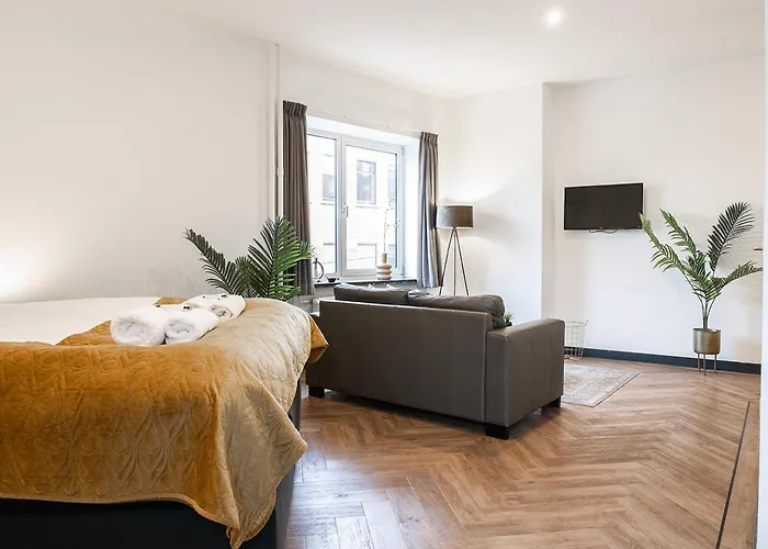 Spacious Loft With Balcony & High-speed Wi-fi Tilburg