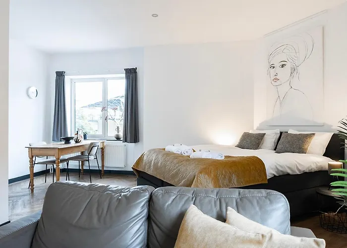 Διαμέρισμα Spacious Loft With Balcony & High-speed Wi-fi Τίλμπουργκ