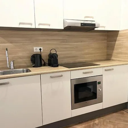 Spacious Loft With Balcony & High-speed Wi-fi 公寓 提耳堡