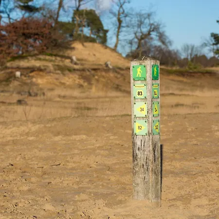 Spacious Loft With Balcony & High-speed Wi-fi