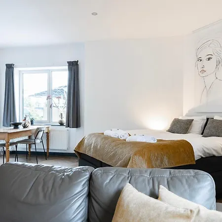 公寓 Spacious Loft With Balcony & High-speed Wi-fi 提耳堡